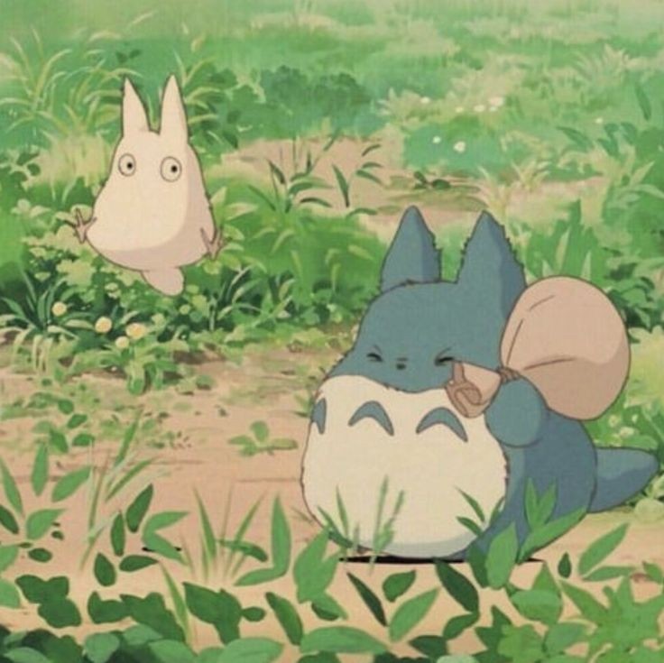 ﾋﾟｭｺ