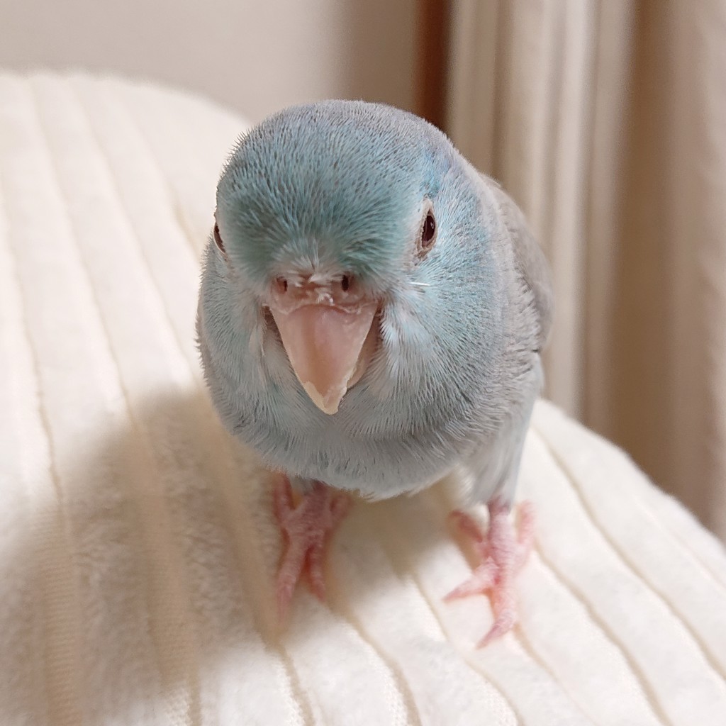 ひろ