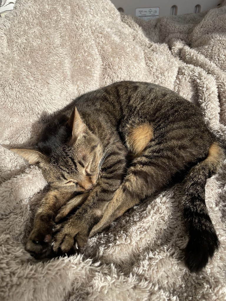 チル