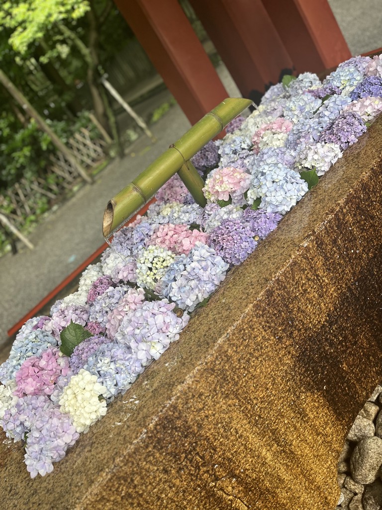 ヤマサキ