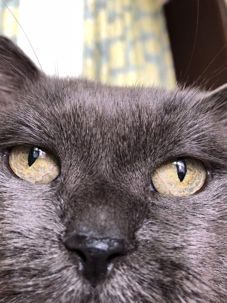 no name