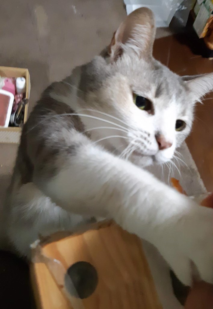 ケイコさん