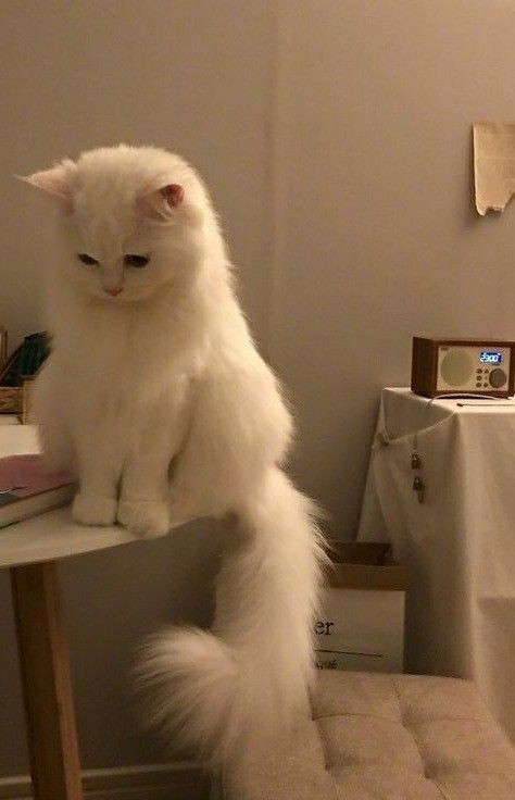 no name