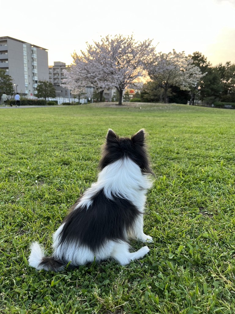 my