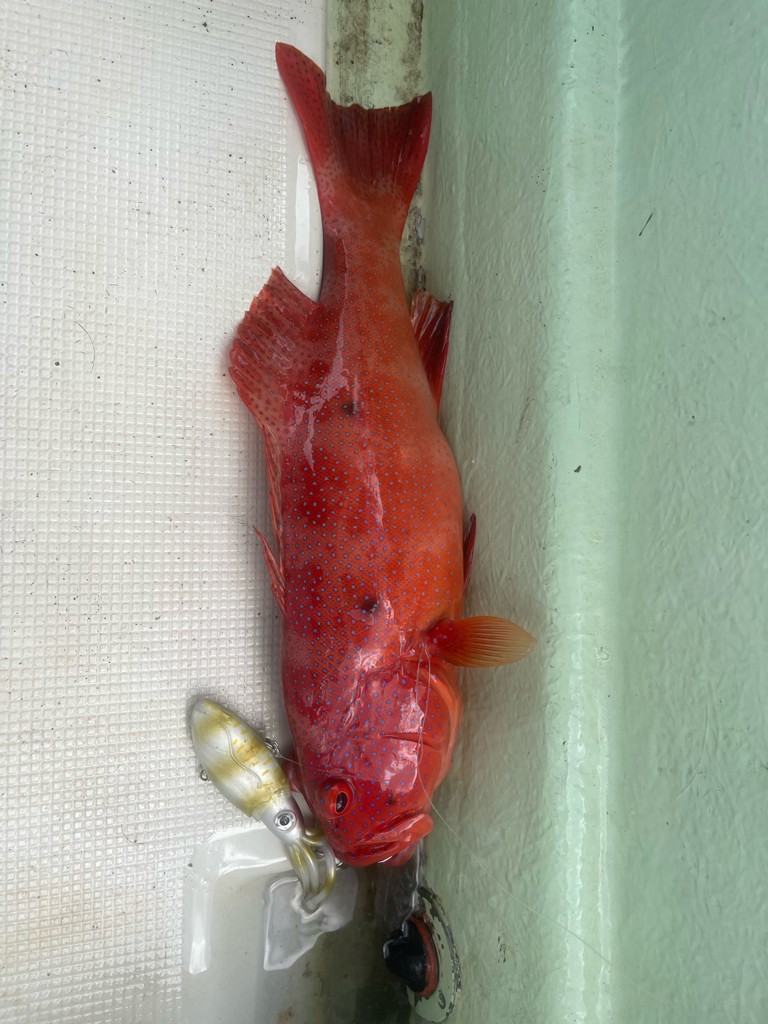 Taka