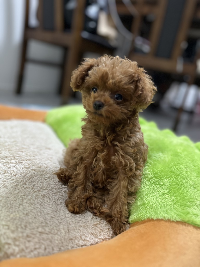 JUN