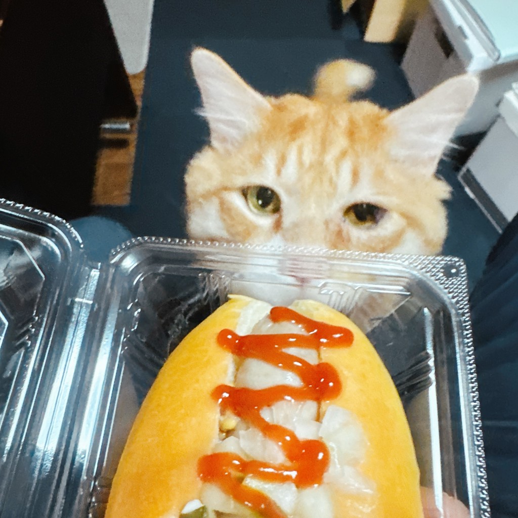 春のしろくま
