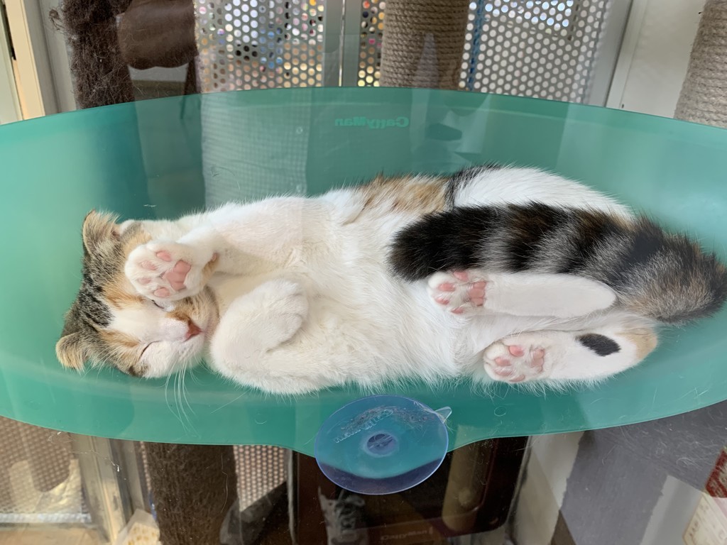 マロン