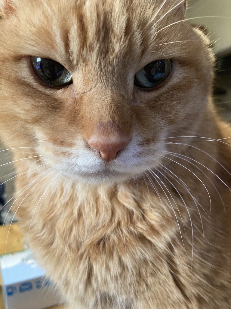 no name