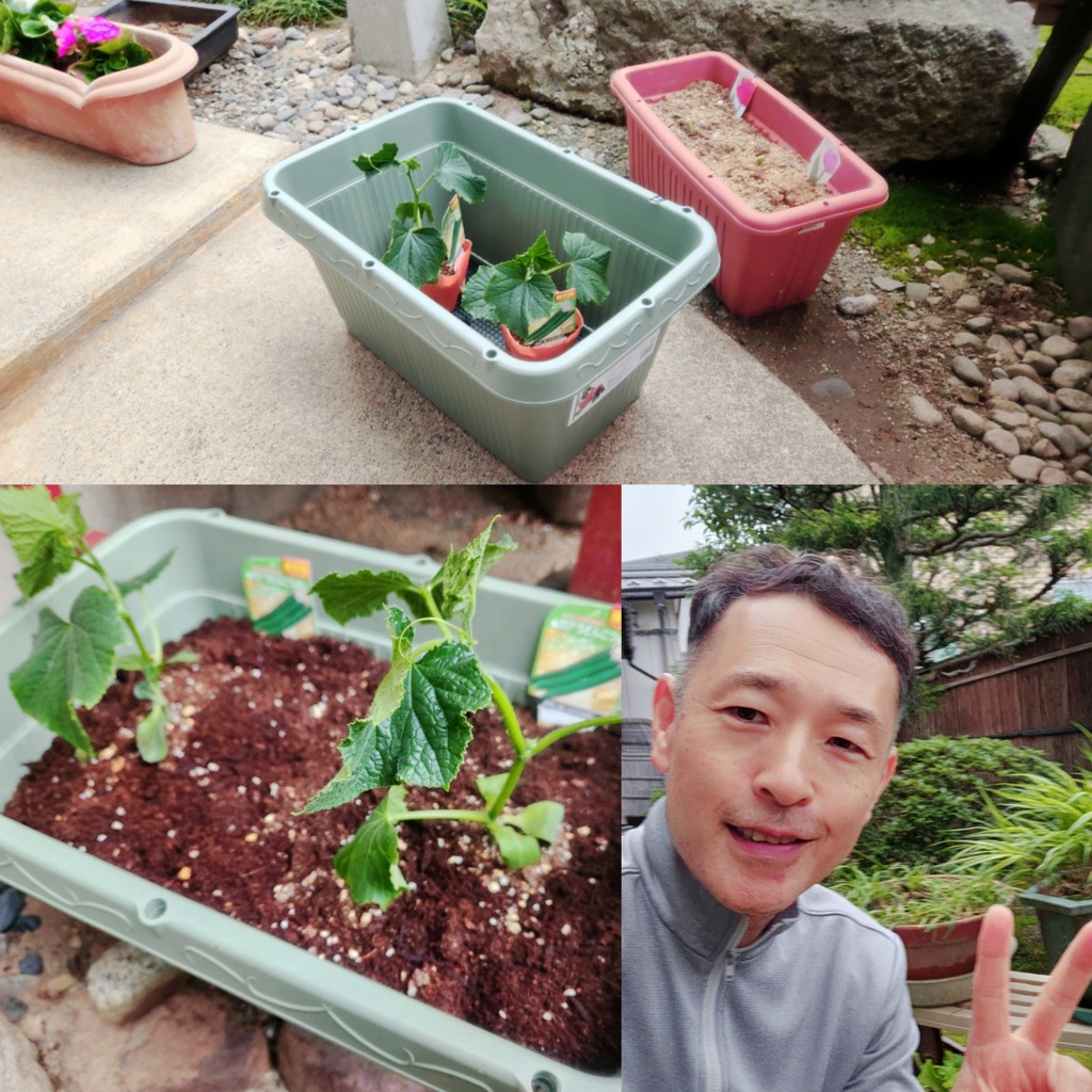 はち