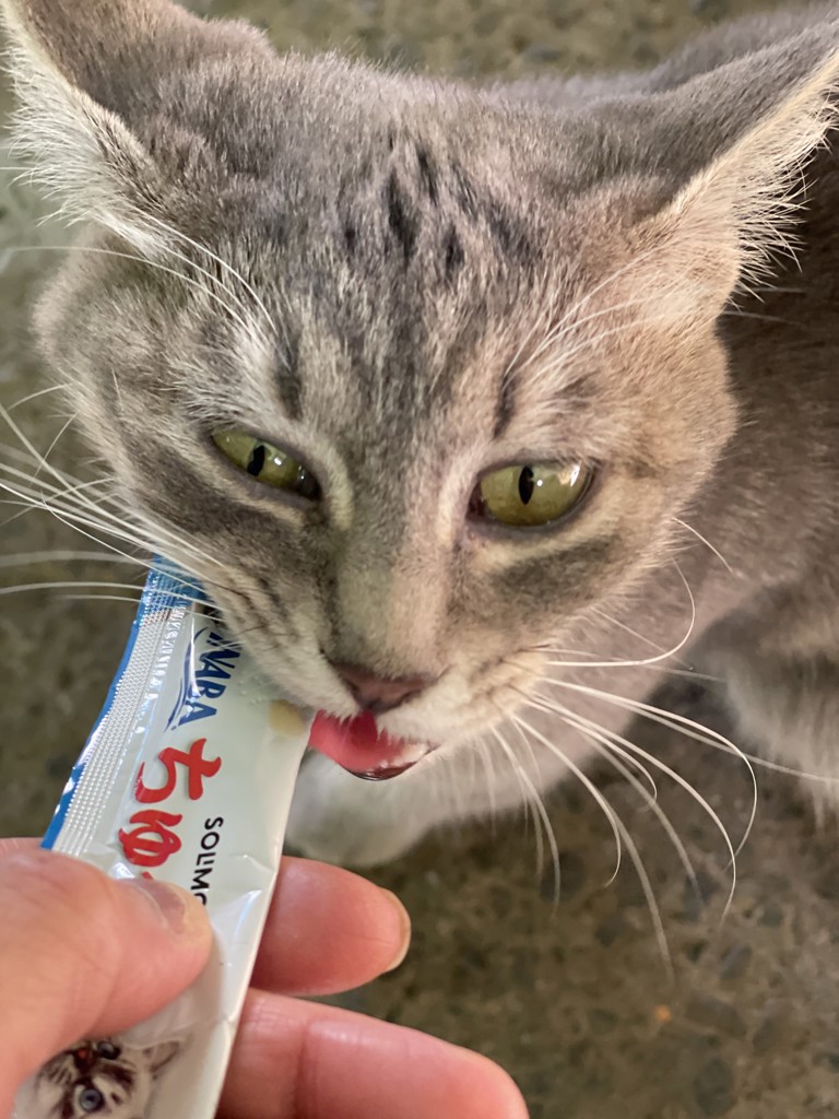 みくみく