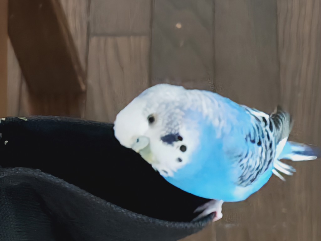 no name