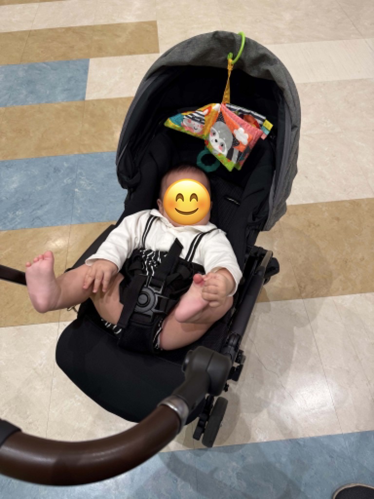 コンビ ホワイトレーベル スゴカルminimo plus エッグショック ANの