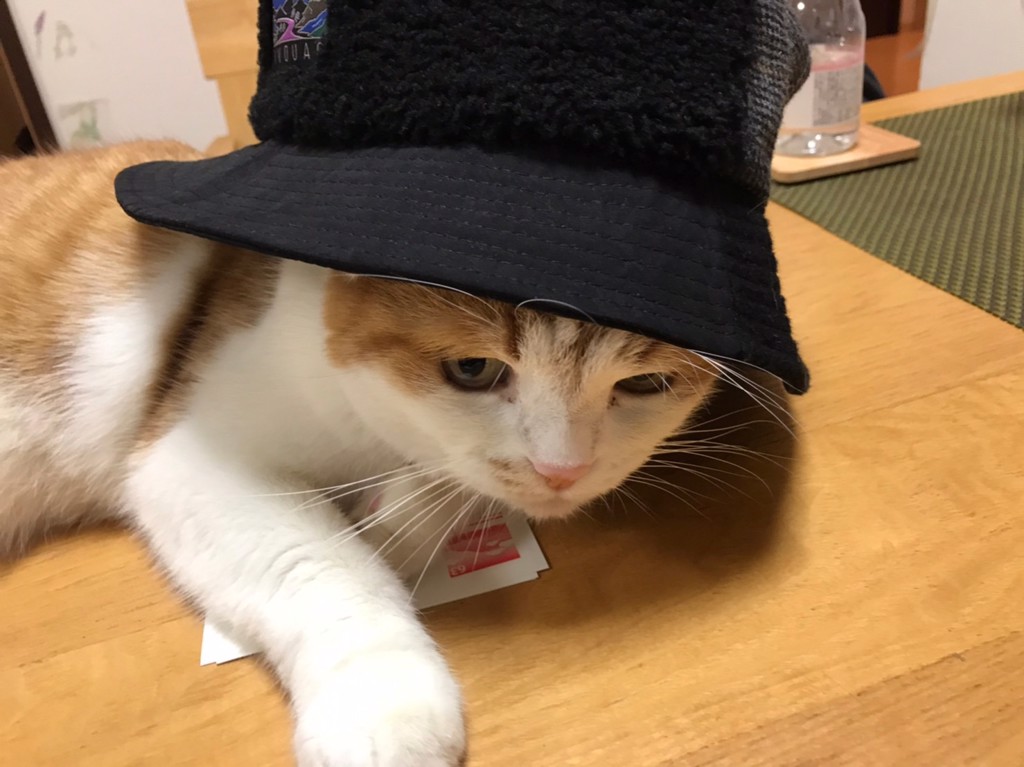 ミヤフク