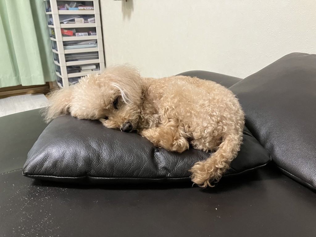 にしちん