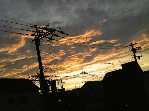 たかぼん