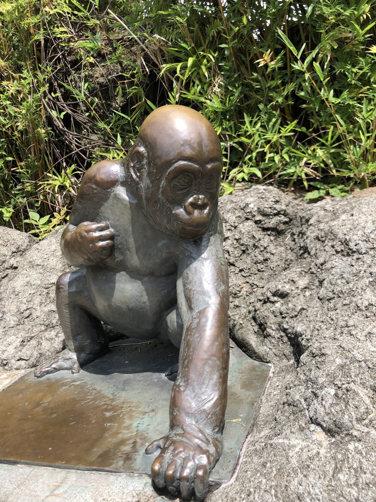 竹千代