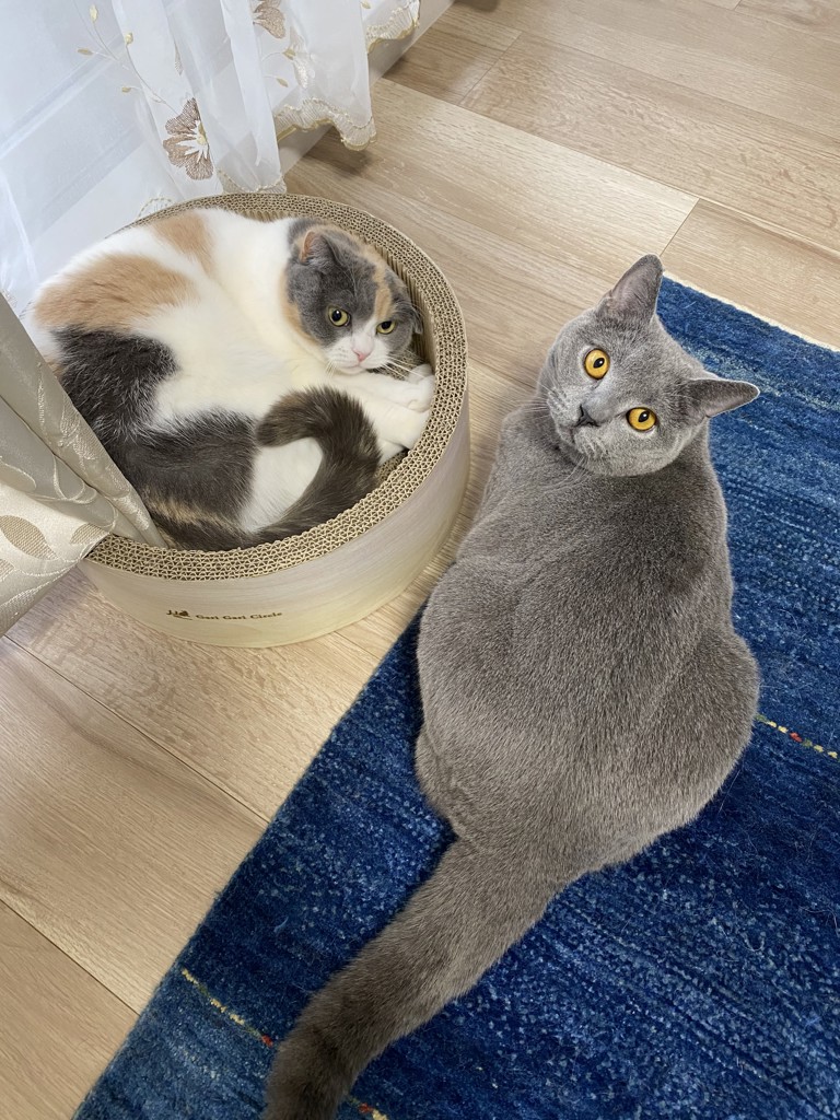 めいとさん