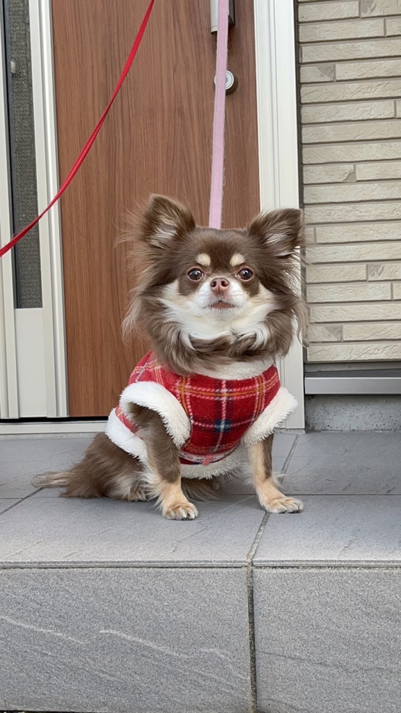 eiko