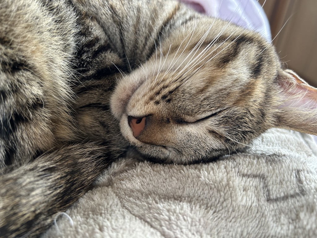 ナチュラグラッセ クリアパウダー ファンデーション(PB2 ピンク