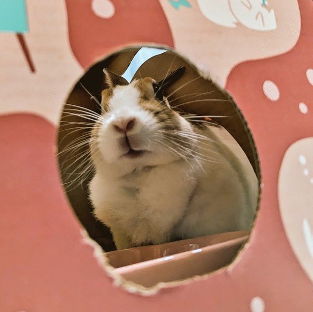 はる