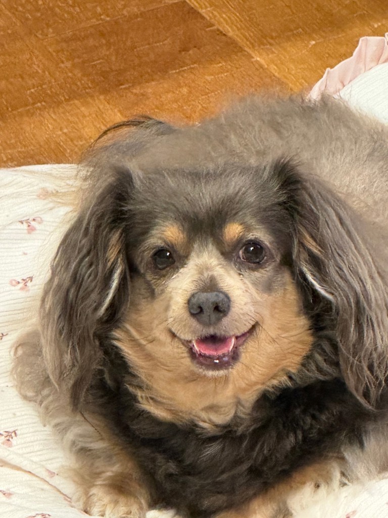 chi