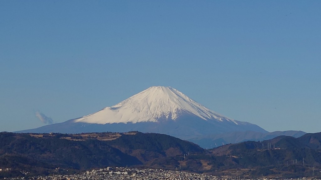 まき