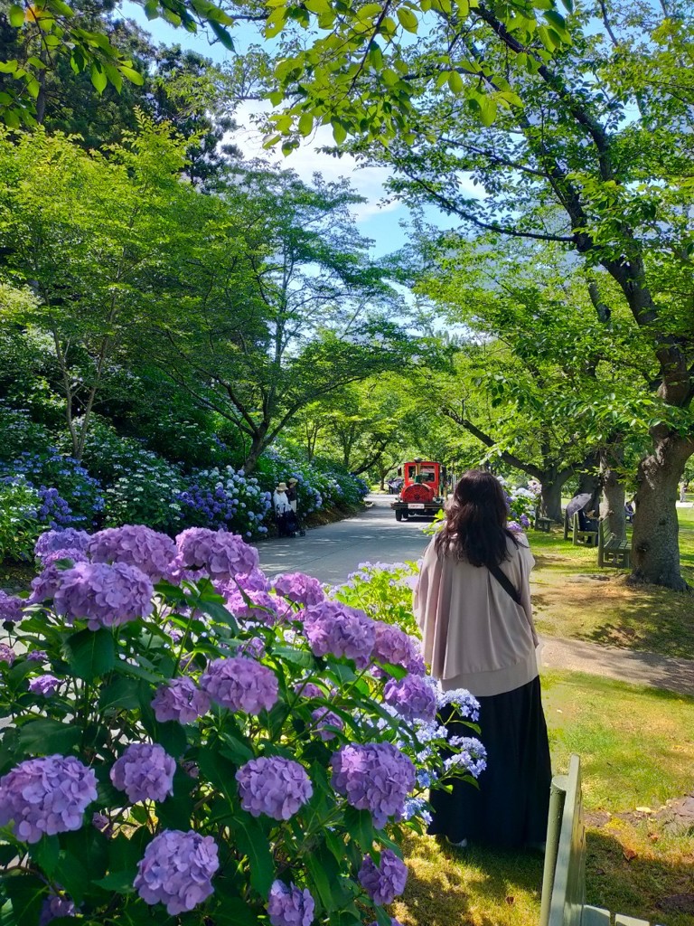 チビコロ