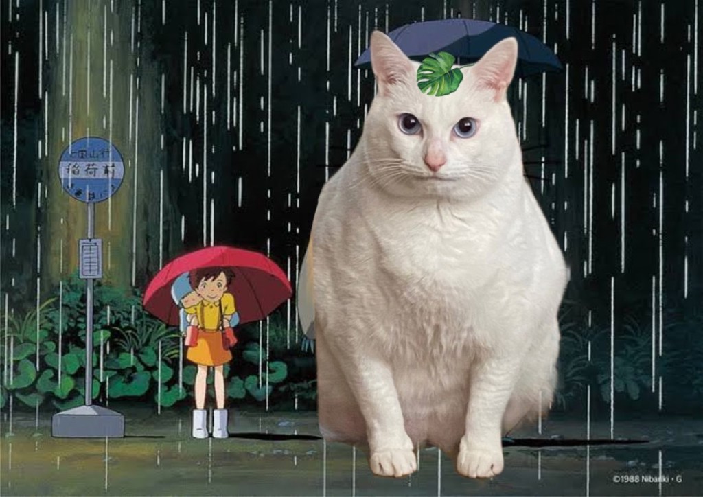 ちーち