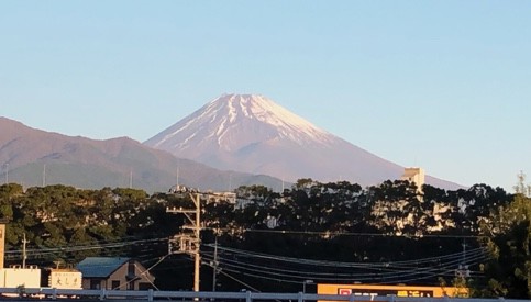 ひかりちち
