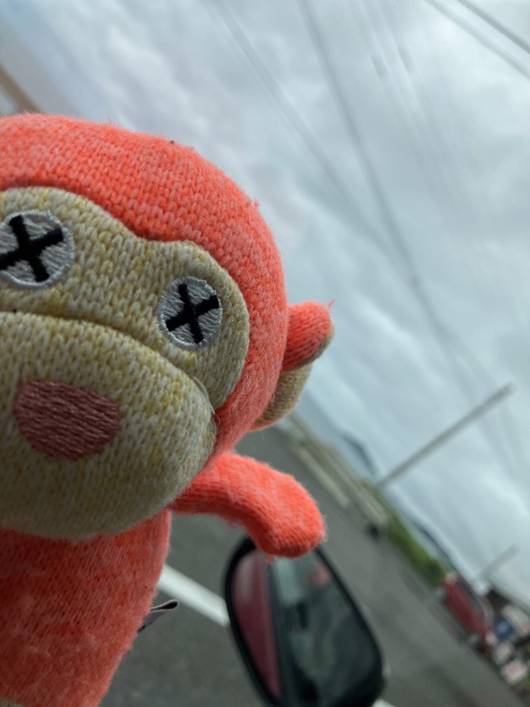 モナカ