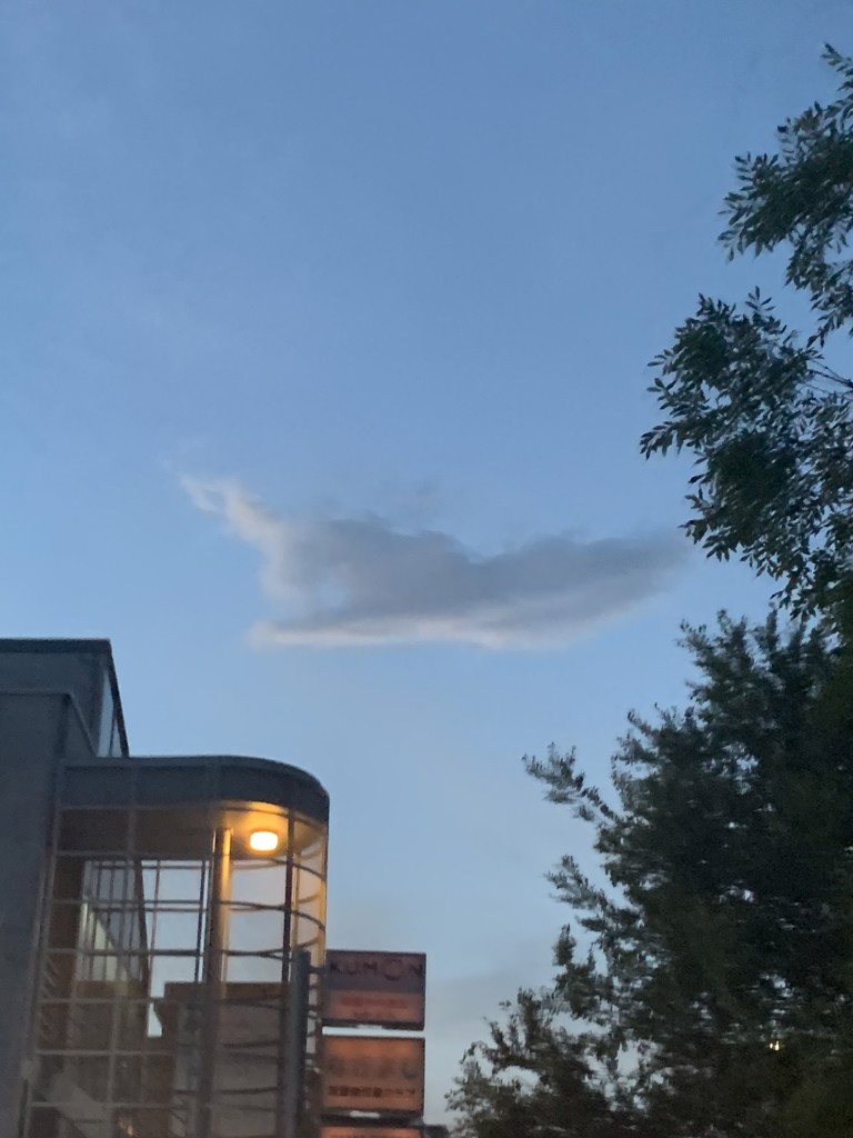 な