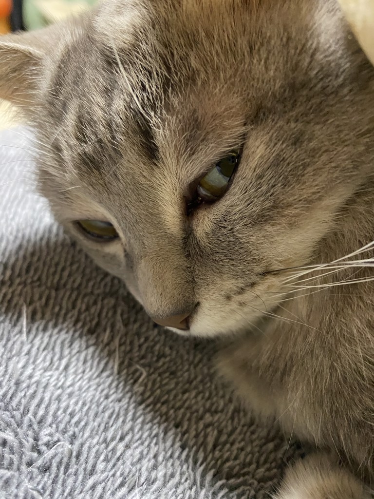 no name