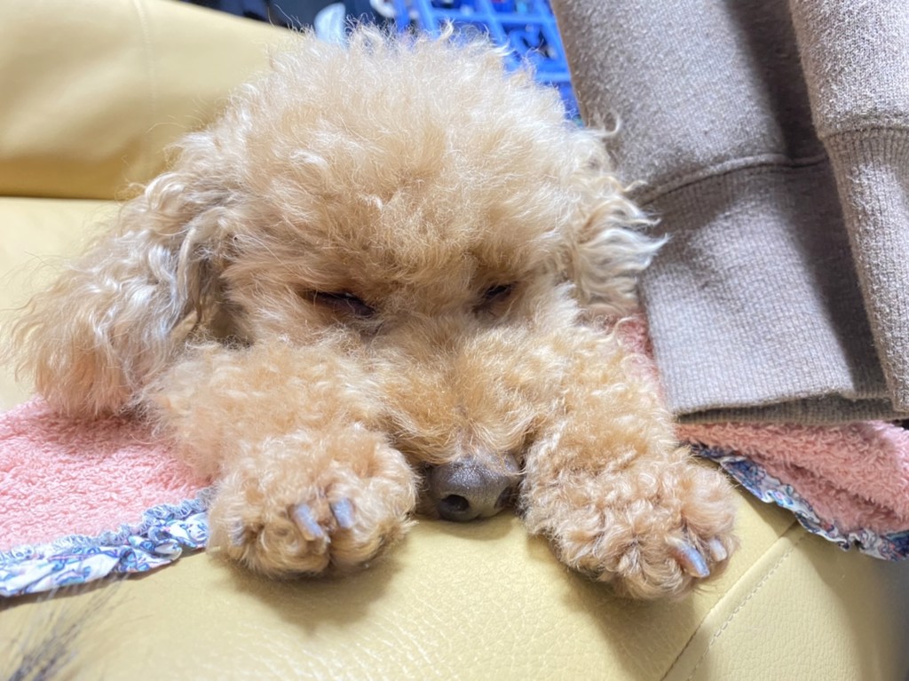 たけママ