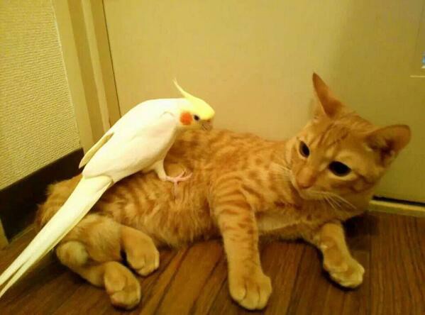 じあん