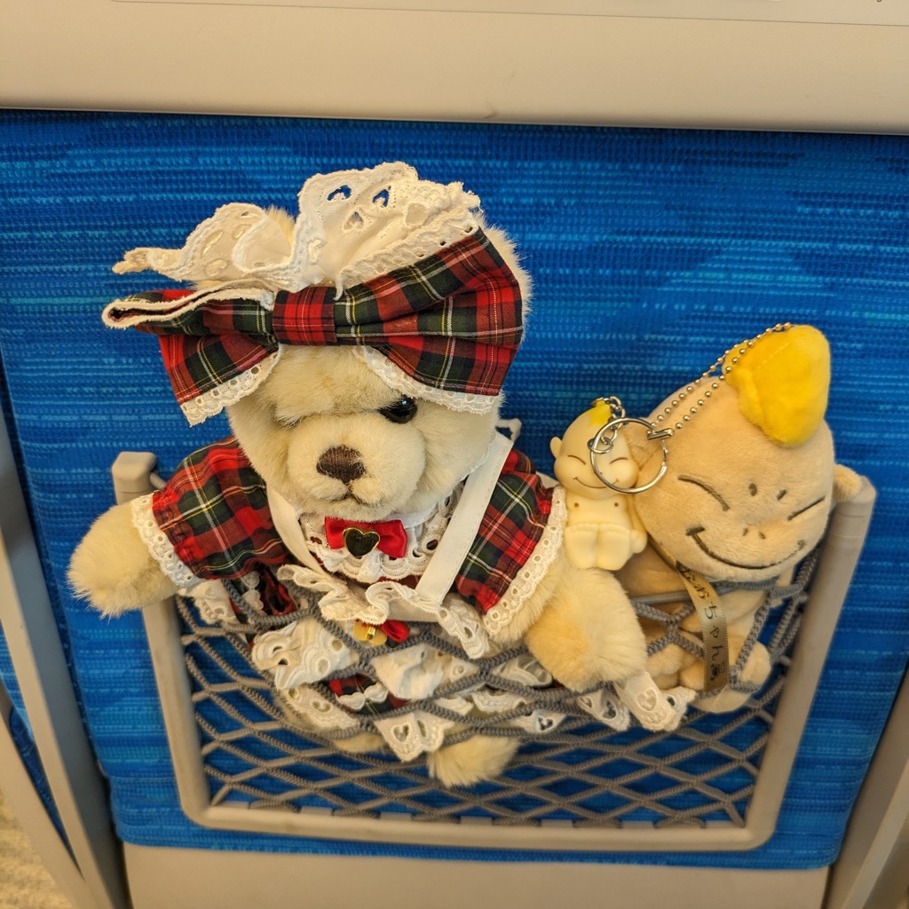 ベアなおちゃん