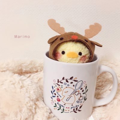 まりも