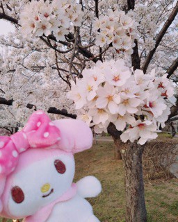 あや