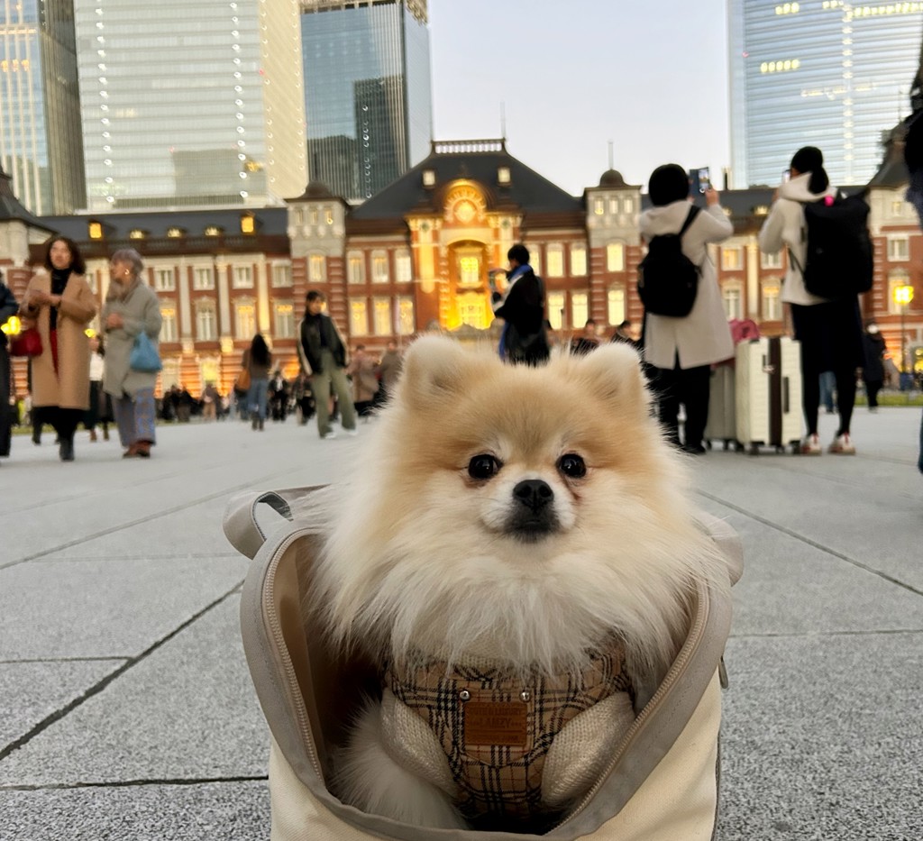 ナミウミコトミ