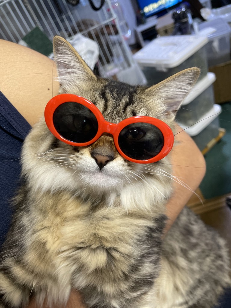 sうさぎ
