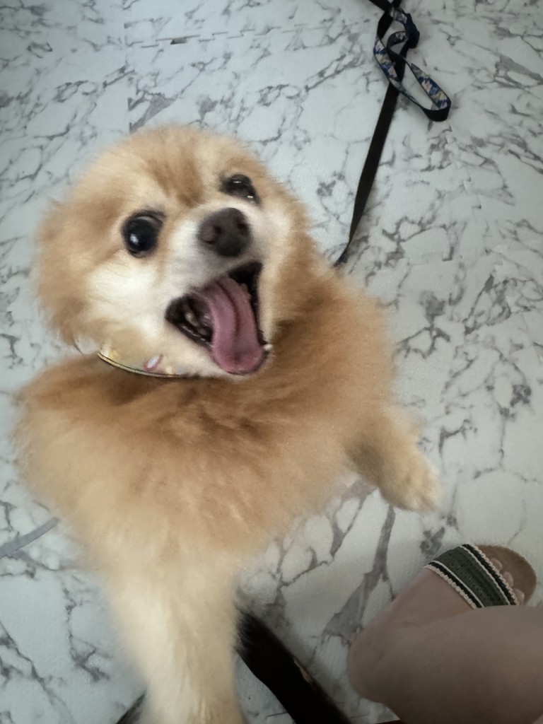 お母ちゃん