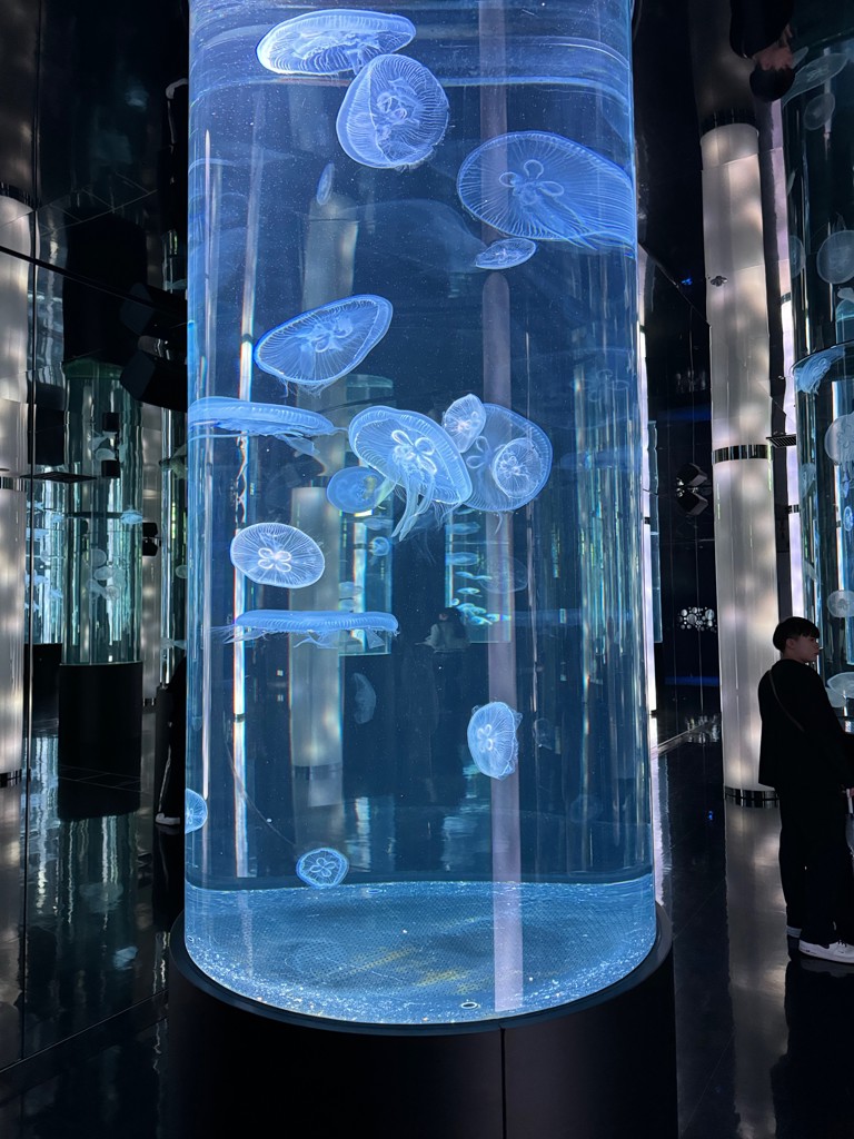 システムセブン