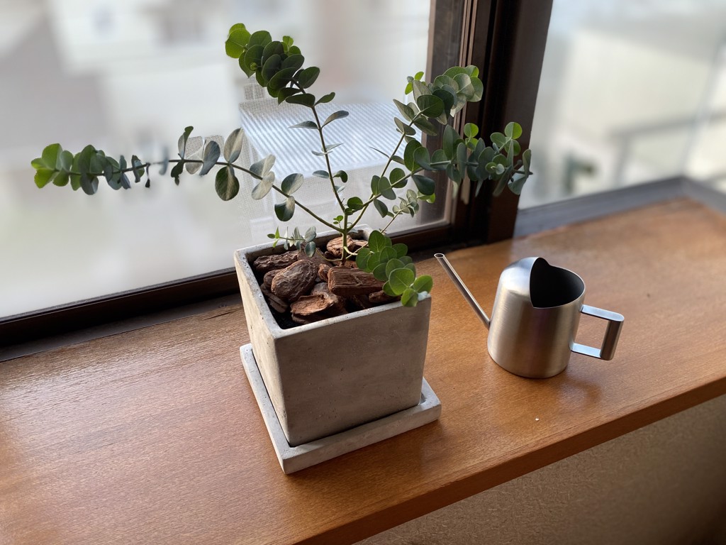 DULTON ONLINE SHOP | SOLID PLANTER CUBE L PLAIN(L PLAIN): ガーデン/グリーン