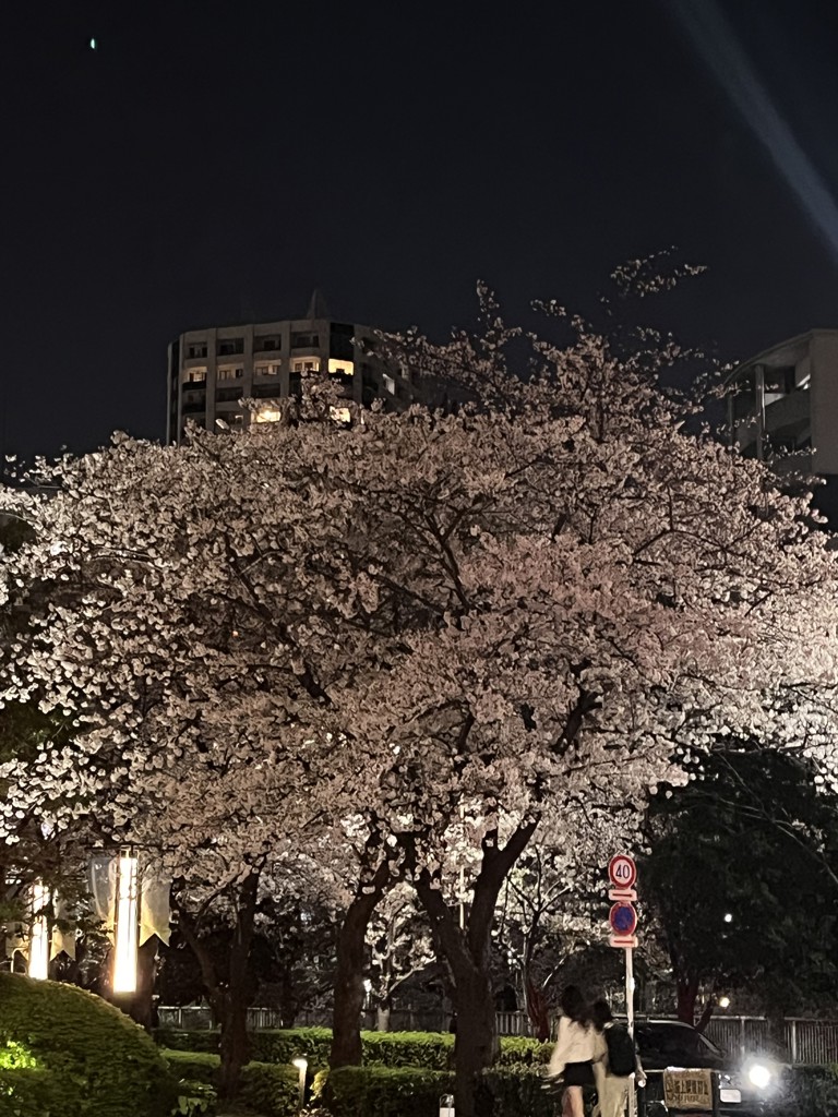 ささみ