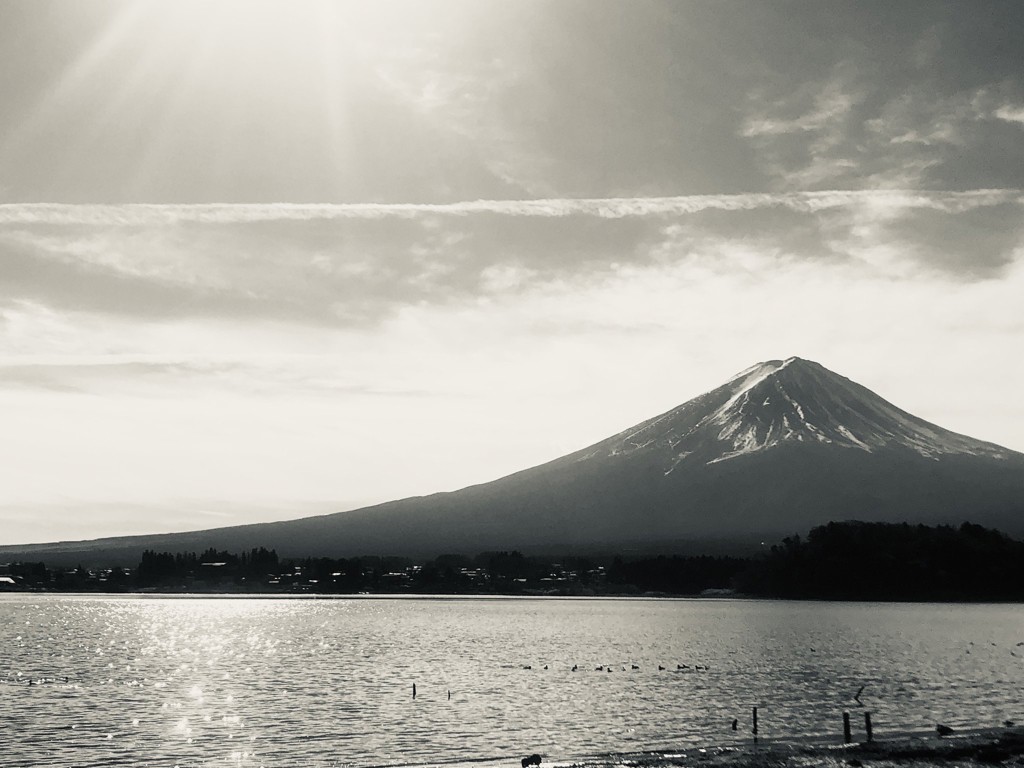 宝塚歌劇ご招待キャンペーン】エクセレントホワイト6品(4品+導入化粧水