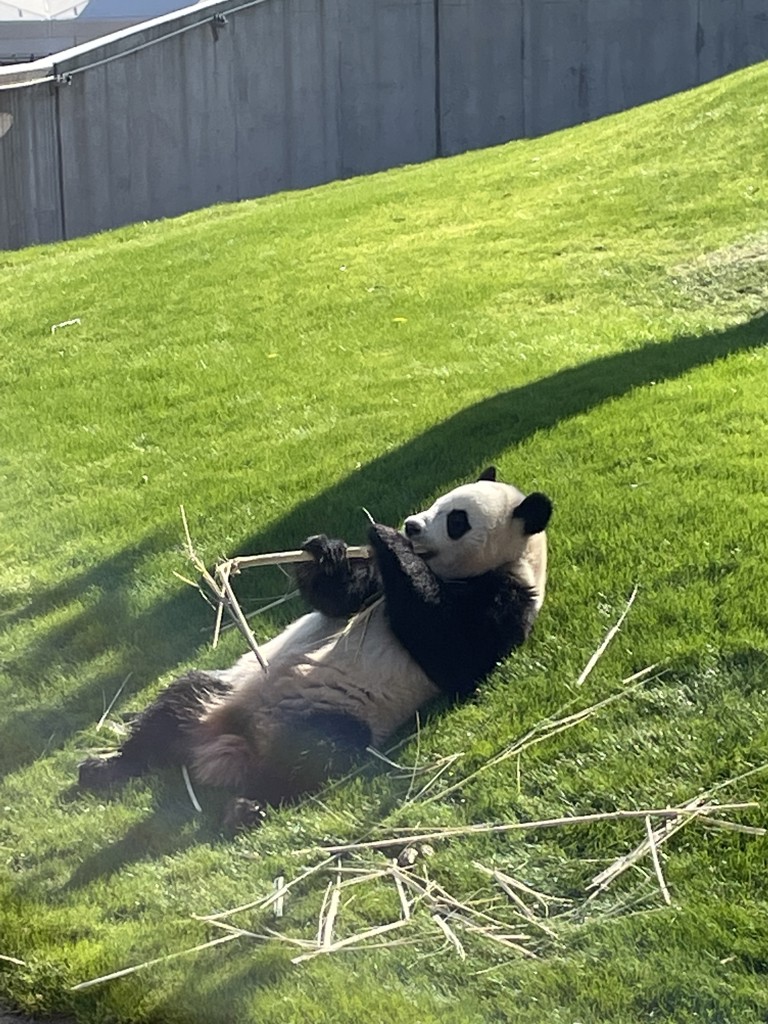 ふわく