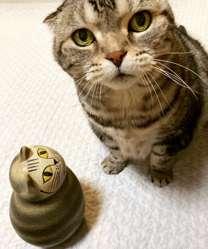 マルニ