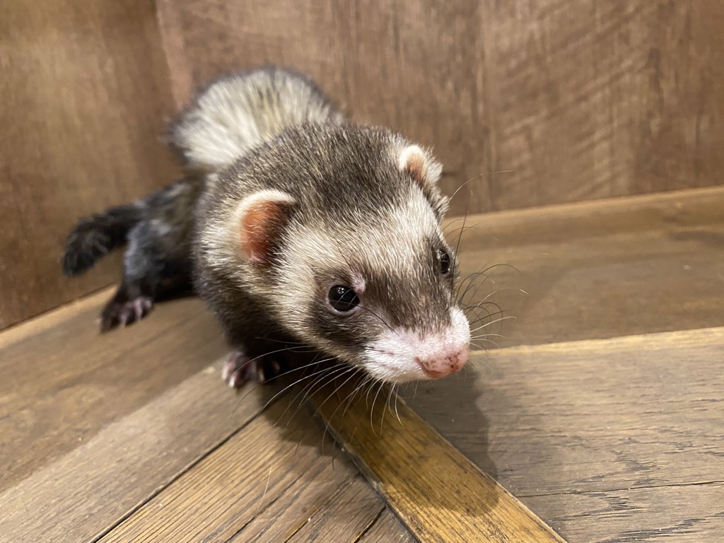 ユーザーアイコン