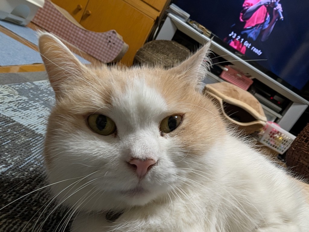 かず