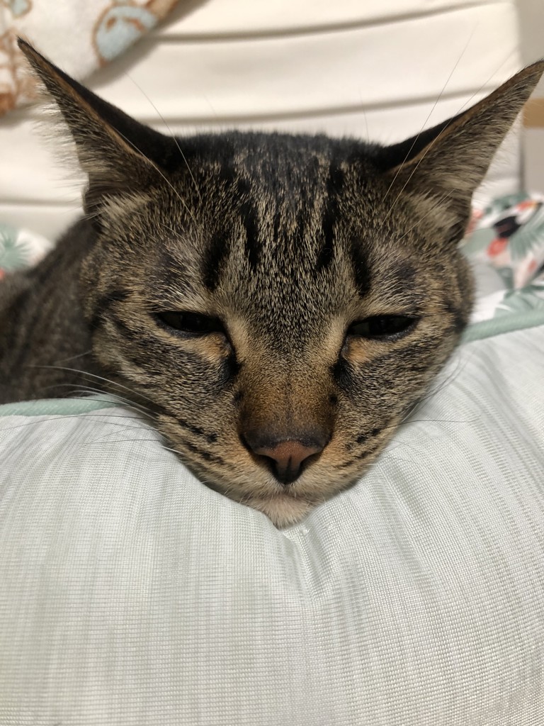 あーちゃん